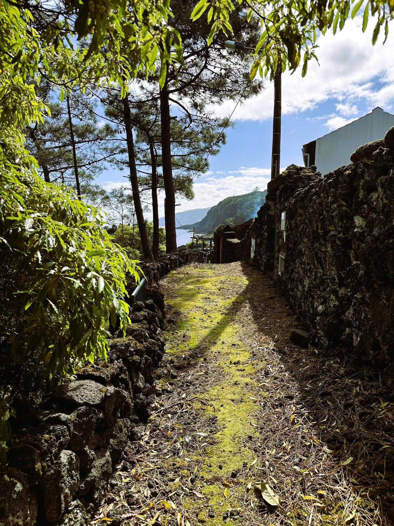 Adega Baía Azul - The essence of Pico Vila São Roque do Pico Exterior foto